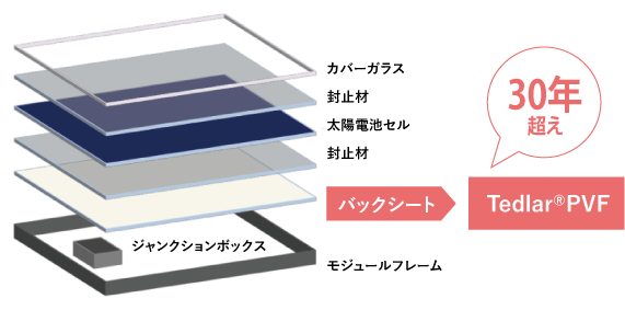 バックシート