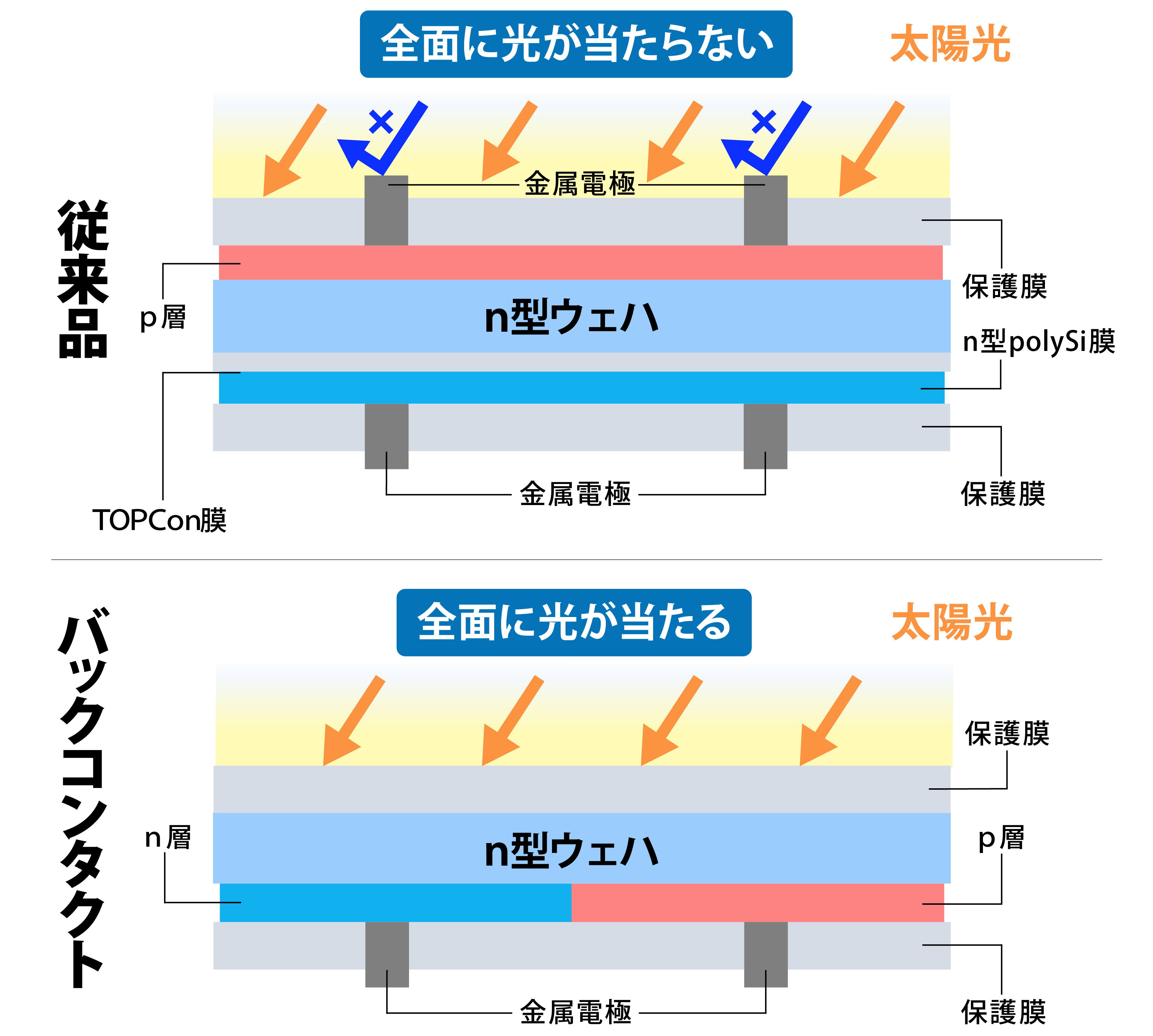バックコンタクトの構造