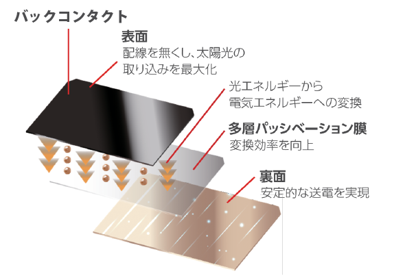 バックコンタクトの構造